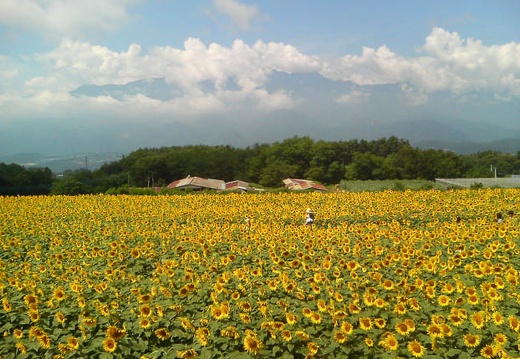 20110808095609-SO902i.jpg