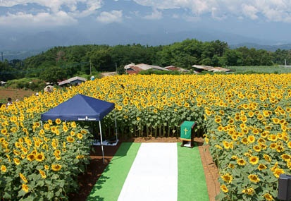 201108080958-DSC02234.jpg