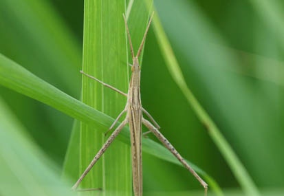 201108091632-DSC02876.jpg