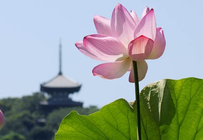 201108111035-DSC00047.jpg