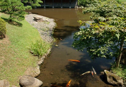 201108111108-DSC00133.jpg
