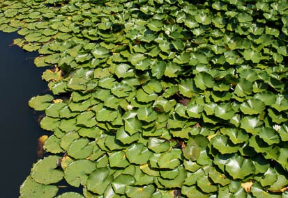 201108111137-DSC00238.jpg