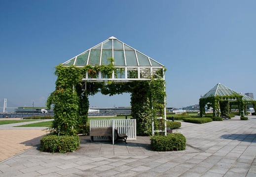201108111400-DSC00536.jpg