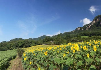201108120758-DSC00752.jpg