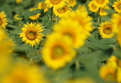 201108120809-DSC00816.jpg