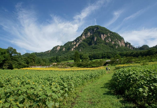 201108120823-DSC00862.jpg