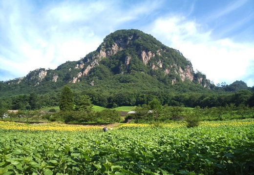 20110812082653-SO-01B.jpg