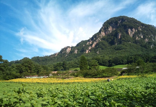 20110812082710-SO-01B.jpg