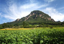 20110812082800-.jpg