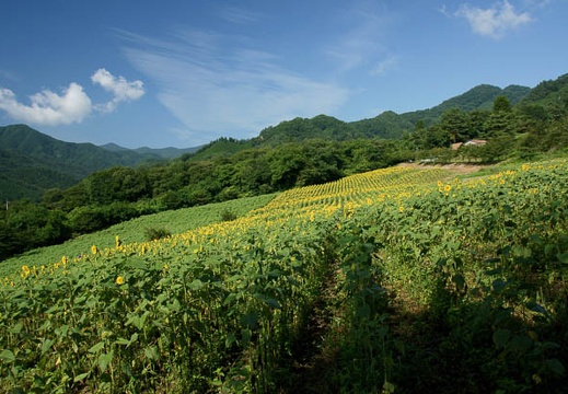 201108120837-DSC00895.jpg