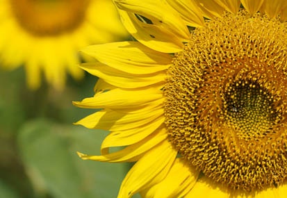 201108120858-DSC00942.jpg