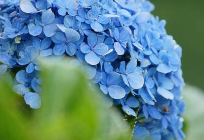 201108161536-DSC02040.jpg