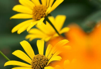 201108161551-DSC02098.jpg