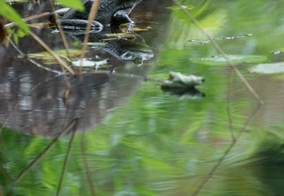 201108161619-DSC02171.jpg