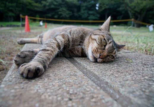201108161644-DSC02253.jpg