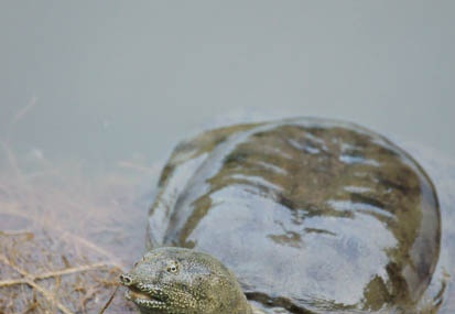 201108161709-DSC02360.jpg