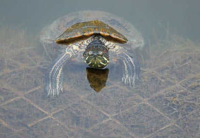 201108161712-DSC02369.jpg