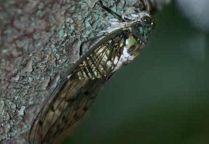 201108161719-DSC02393.jpg