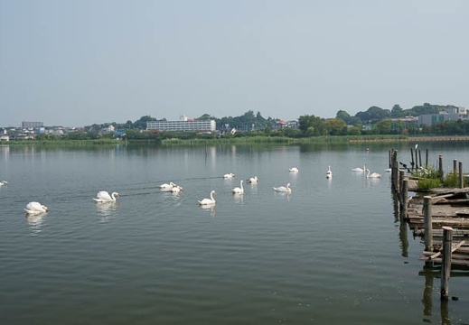 201108170853-DSC02546.jpg