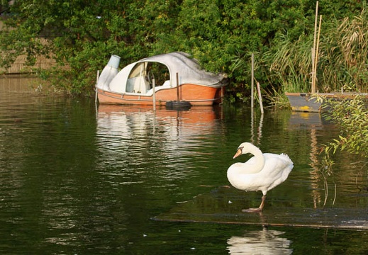 201108171701-DSC02857.jpg