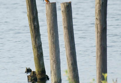 201108171706-DSC02886.jpg