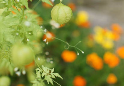 201108231319-DSC04555.jpg