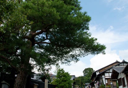 201108231323-DSC04565.jpg