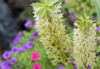 201108231401-DSC04617.jpg
