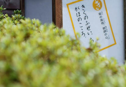 201108231403-DSC04620.jpg