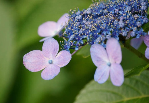 201108231650-DSC04836.jpg