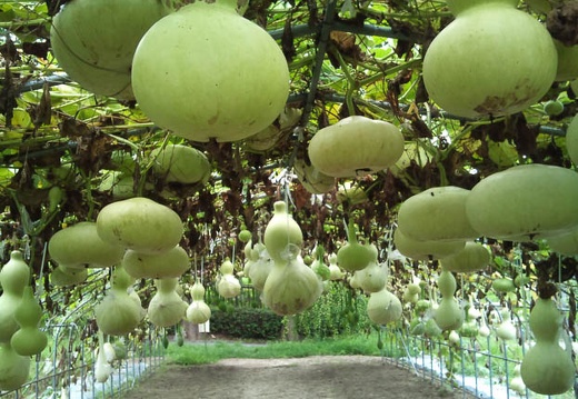 20110824094947-SO-01B.jpg