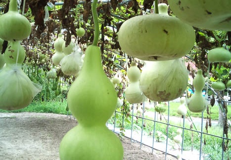 20110824095009-SO-01B.jpg