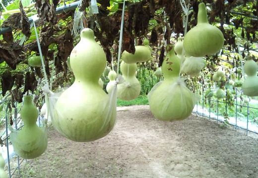 20110824095429-SO-01B.jpg