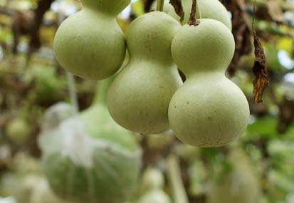 201108240958-DSC04940.jpg