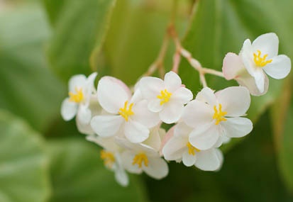 201108241030-DSC05031.jpg