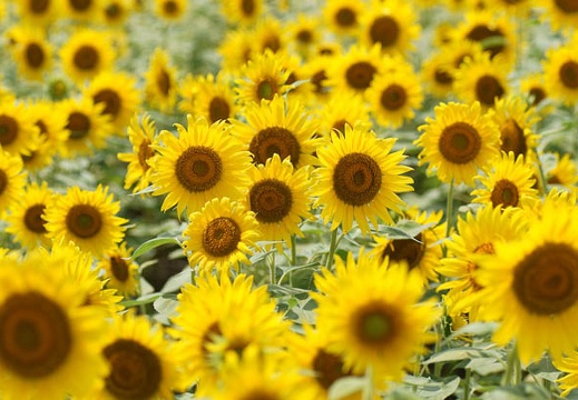 201108241350-DSC05220.jpg