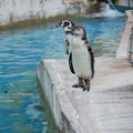 201108251551-DSC06188.jpg