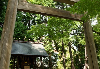 201108261358-DSC06660.jpg