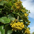201108261612-DSC06827.jpg