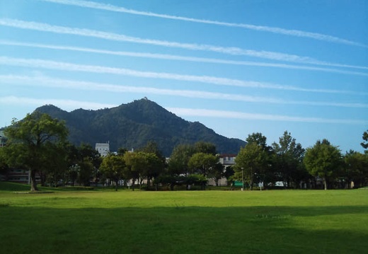 20110830074654-SO-01B.jpg