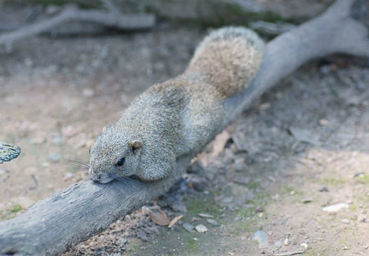 201108301106-DSC07313.jpg