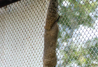 201108301113-DSC07326.jpg