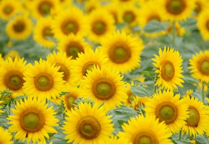 201108311020-DSC07539.jpg