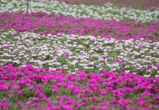 201108311057-DSC07692.jpg