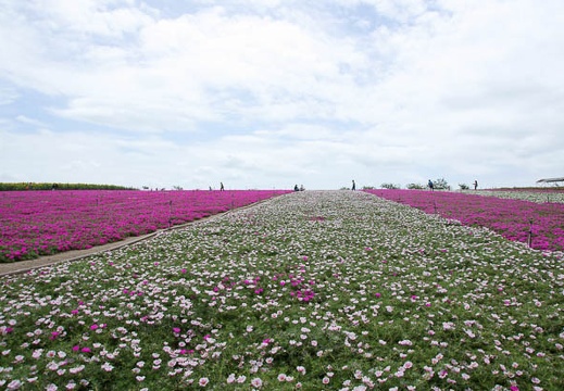 201108311058-DSC07694.jpg
