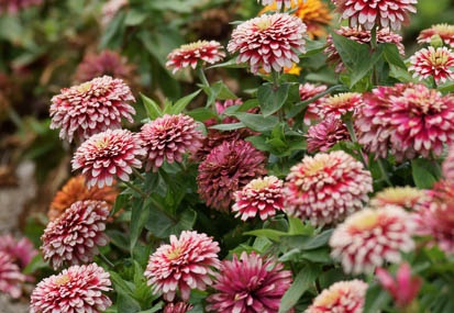 201108311114-DSC07759.jpg