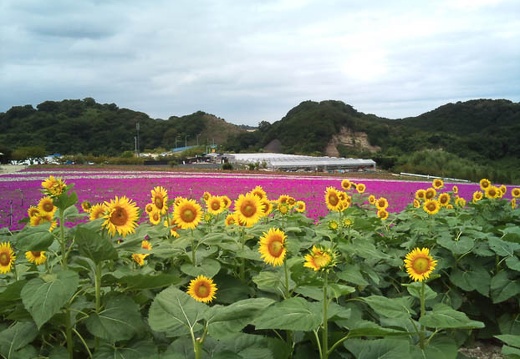 20110831112144-SO-01B.jpg
