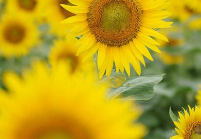 201108311124-DSC07812.jpg