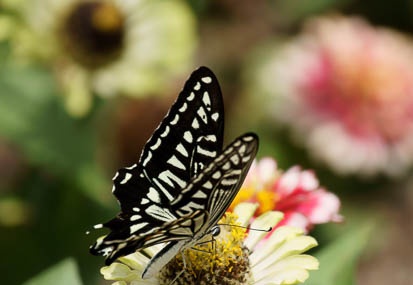 201108311134-DSC07850.jpg