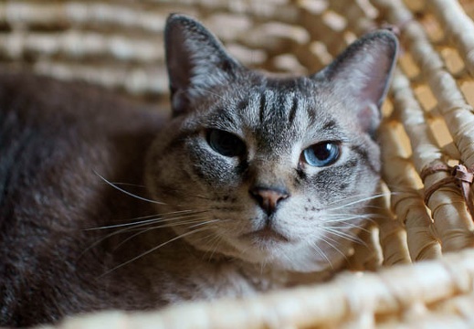 201109011223-DSC08081.jpg